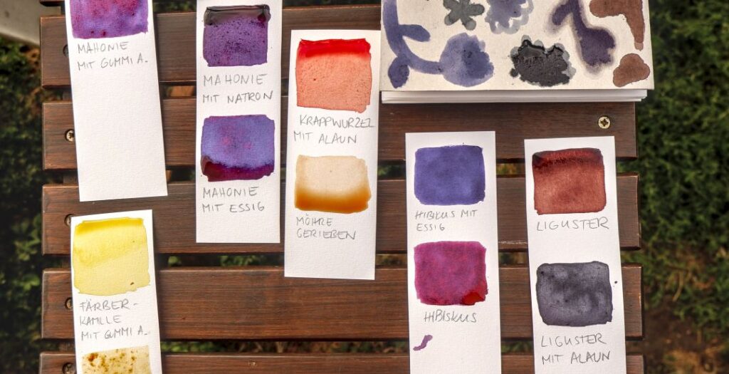 23.08.2026 – Pflanzenfarben-Werkstatt