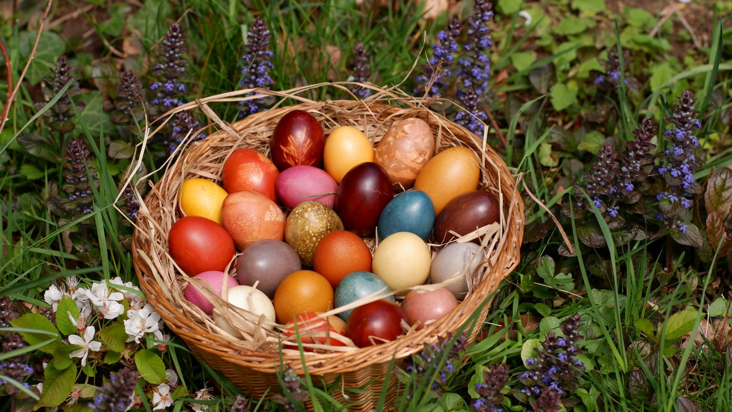 02.04.2026 – Ostereier färben mit Naturfarben