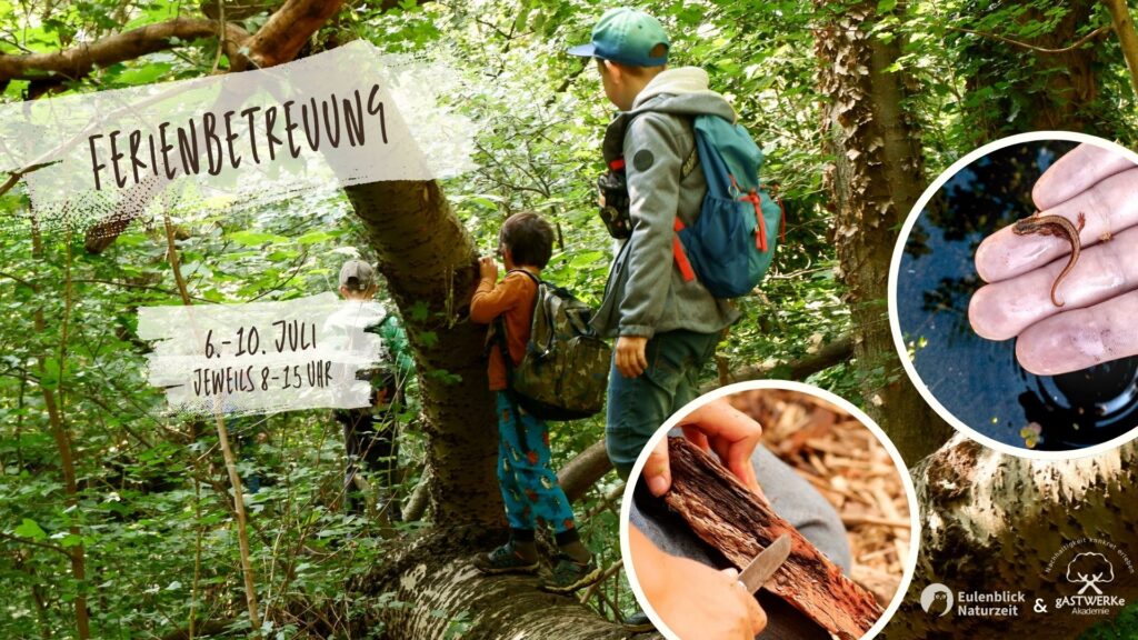 Sommerferien-Betreuung – Werde Walddetektiv*in!