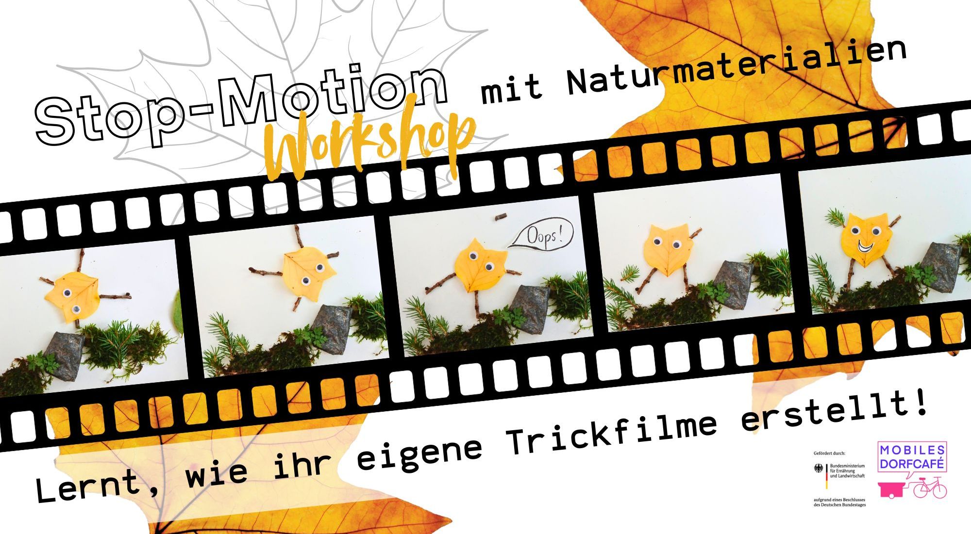 21.10.2026 – Trickfilm Workshop